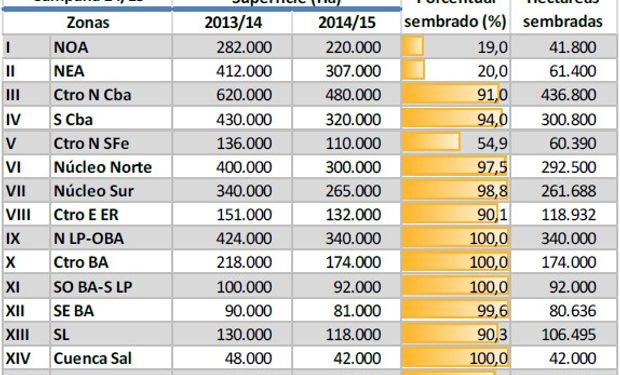 Siembra de maíz. Campaña 2014/15. Datos al: 08/01/2015