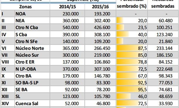 Fuente: Bolsa de Cereales de Buenos Aires.