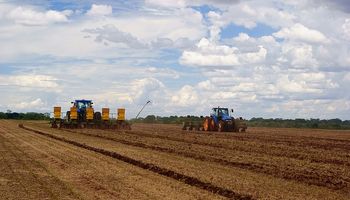 Clima seco impulsará siembra de soja 