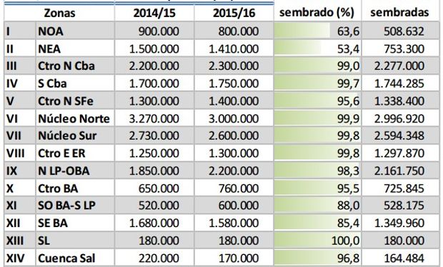Siembra de soja. Datos al 7 de enero. Fuente: BCBA.