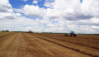 La lluvia traerá la siembra y la fertilización
