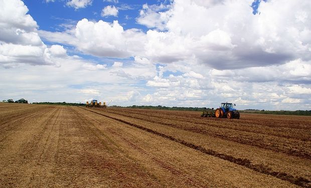 La lluvia traerá la siembra y la fertilización