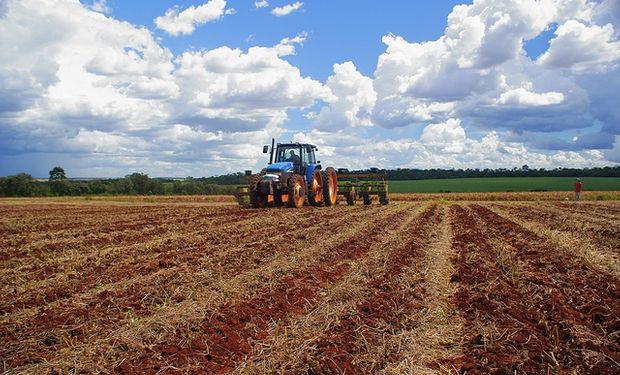 Noticias agrícolas del día