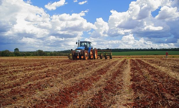 Producto de las condiciones climáticas favorables, la siembra de soja sigue avanzando en Uruaguay