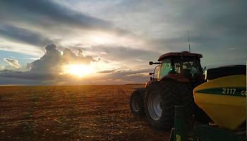 Soja: en Brasil la siembra gana ritmo y registra un avance del 46%