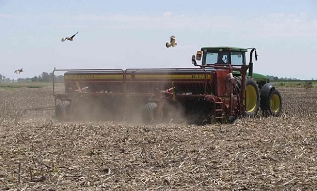 Lote de rastrojo de girasol, en pleno proceso de siembra de soja de segunda en el sureste del departamento Vera.-