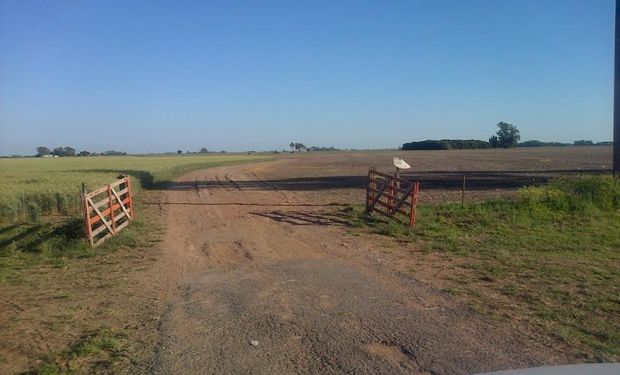 El área agronómica de AgroActiva por su parte ha dado inicio a la campaña 2014-2015 que sigue los tiempos de siembra y cosecha similares a los de cualquier planteo agrícola de la Pampa Húmeda.