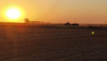 Zona núcleo: siembra febril, sequía al acecho, Niña consolidada y reaparición del sorgo