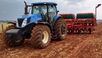 La soja avanza a paso lento en Brasil