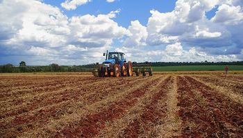 Se detiene la siembra de soja en regiones de Brasil