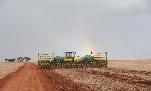 La implantación de la oleaginosa continúa a paso lento si se compara el actual avance contra el mismo periodo de 2013.