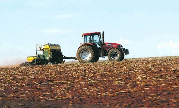 Es el cuarto exportador mundial de la oleaginosa.