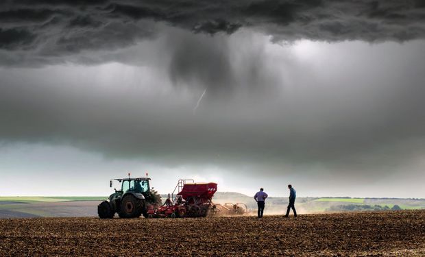 Soja, trigo y maíz: los datos del USDA que impactan al mercado de granos