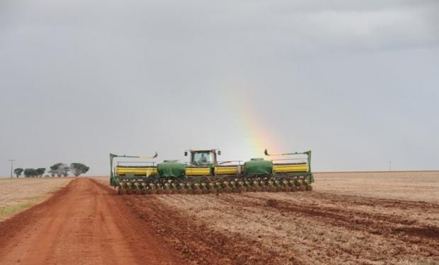 La superficie total de gruesa se contraería un 7%