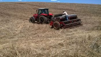 Brasil: gana ritmo la siembra de soja en Mato Grosso