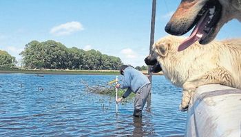 Las lluvias frenan a la soja