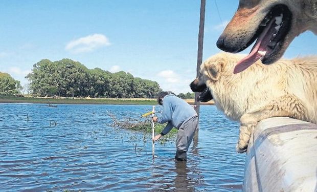 En la zona de 30 de Agosto, en el noroeste bonaerense, hay cientos de hectáreas bajo agua. Foto: Gentileza G. Villagra