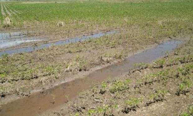 La zona más afectada comprende los tres departamentos del norte santafecino en su totalidad.