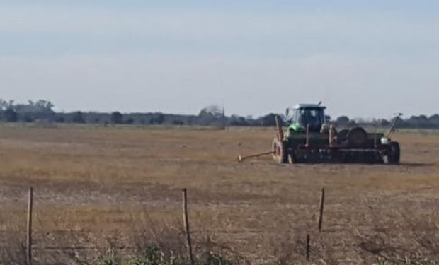 Lote en pleno proceso de implantación, con muy buena disponibilidad de agua útil en la cama de siembra, en el centro sur del departamento San Jerónimo.-