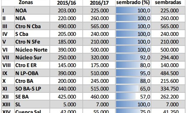 Fuente: Bolsa de Cereales de Buenos Aires.