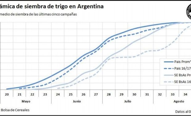 Dinámica de la siembra de trigo. Fuente: Bolsa de Cereales de Buenos Aires.