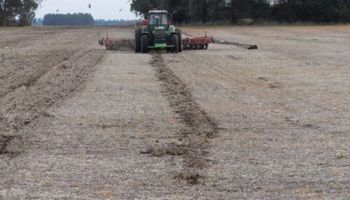 El trigo no logra hacer pie en la zona núcleo