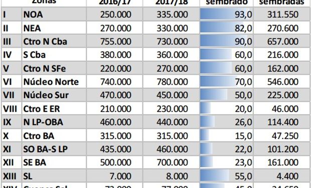 Fuente: Bolsa de Cereales de Buenos Aires.