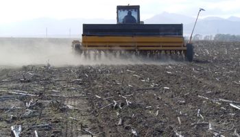 Aprovechando la buena humedad ya se sembraron 340 mil hectáreas de trigo