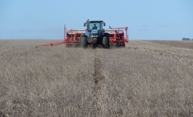 El trigo impulsó la venta de sembradoras: las perspectivas para la maquinaria no son tan sombrías