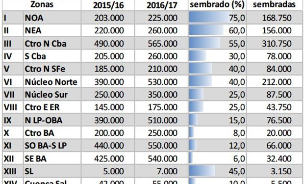 TRIGO. Se sembraron 1,35 millones de hectáreas.