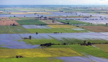 Trigo: avanza la siembra pero hay miles de hectáreas bajo riesgo