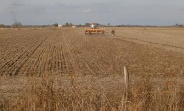 Lote de rastrojo de soja en pleno proceso de siembra de trigo, en el centro sur del departamento Las Colonias.-