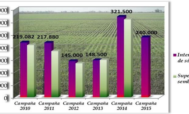 Intención de siembra (ha) hasta campaña 2013, área de estudio 10 departamentos - intención de siembra (ha) campaña 2014 - 2015, área de estudio 12 departamentos.-