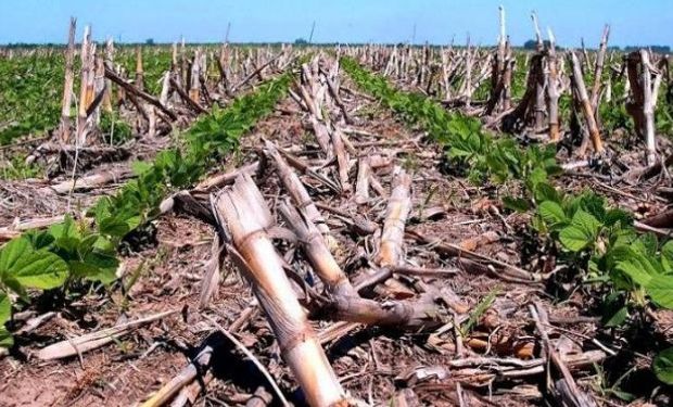 En Aapresid se desarrolló el simposio sobre agricultura conservadora para mitigar el cambio climático y mejorar la producción.