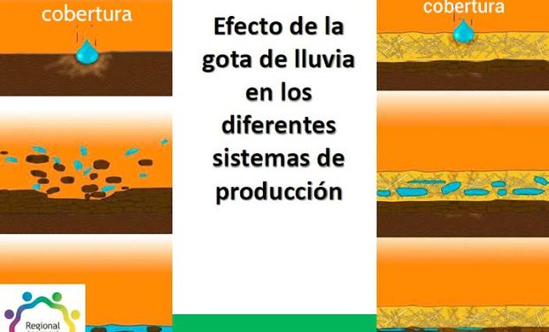 La Siembra Directa es la práctica de cultivar la tierra sin ararla previamente y con la presencia de una cobertura permanente del suelo.