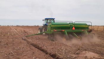 Soja: en apenas siete días se sembraron más de 2,7 millones de hectáreas
