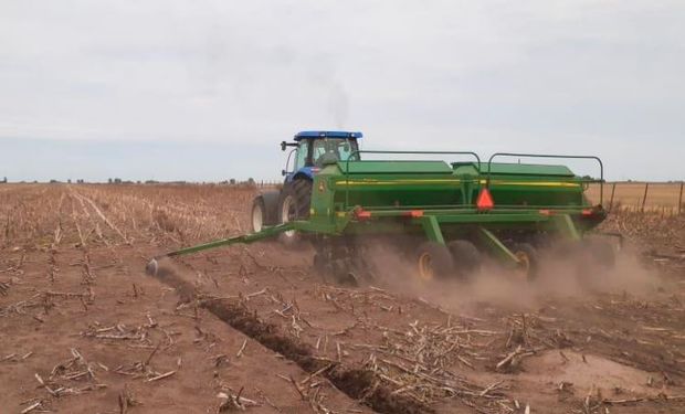 Soja: en apenas siete días se sembraron más de 2,7 millones de hectáreas