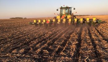 Siembra en Estados Unidos: fuerte avance en soja y maíz