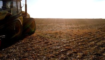 Precio de la soja y evolución de los insumos: cómo dan los márgenes brutos para la campaña 2020/21