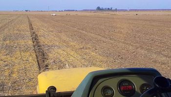 Cómo da el "Excel" del trigo: en campo alquilado la ecuación se da vuelta y da pérdidas de -61 u$s/ha de renta neta
