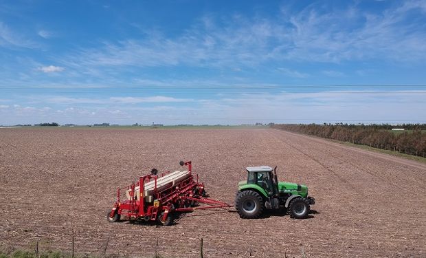 Intersiembra de soja en trigo: un sistema de cultivo que gana terreno en la agricultura 