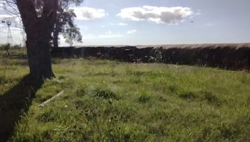 "Harán ranchos": la bronca de un productor que le robaron el plástico de un silo bolsas