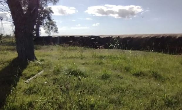 "Harán ranchos": la bronca de un productor que le robaron el plástico de un silo bolsas