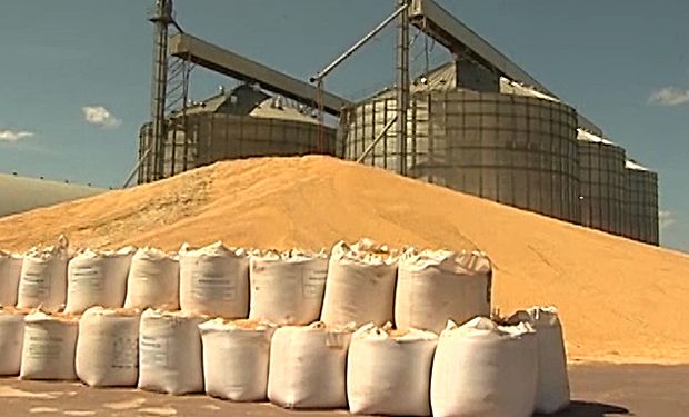 Departamento de Agricultura dos Estados Unidos (USDA) estimou a safra mundial em 410,58 milhões de toneladas na temporada 2023/24, um novo recorde