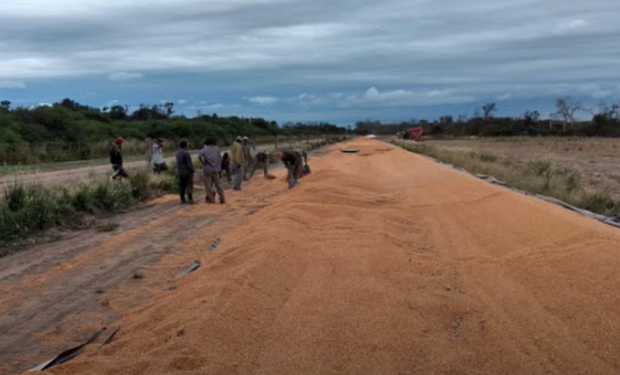 Le destrozaron 8 silo bolsas y piensa en "levantar todo" por la bronca