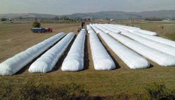 Productores demandarán 100.000 silobolsas
