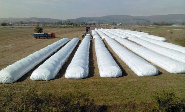 Productores demandarán 100.000 silobolsas