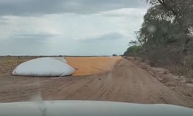 Le rompieron cinco silo bolsas con maíz y apunta a las declaraciones del Presidente contra el campo