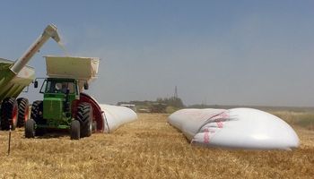 Actualizan el salario mínimo para la manipulación y almacenamiento de granos en San Luis