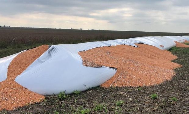 Señal del oficialismo: Sergio Massa presentó un proyecto de Ley para frenar el delito rural